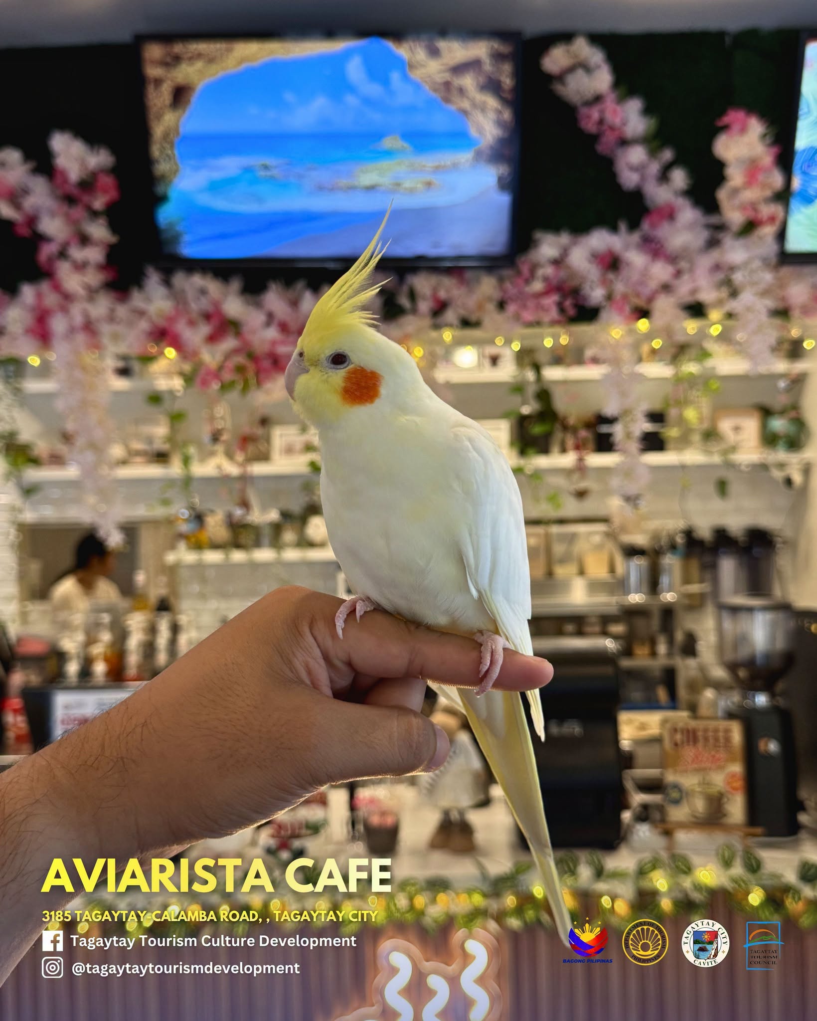 Aviarista aviary area