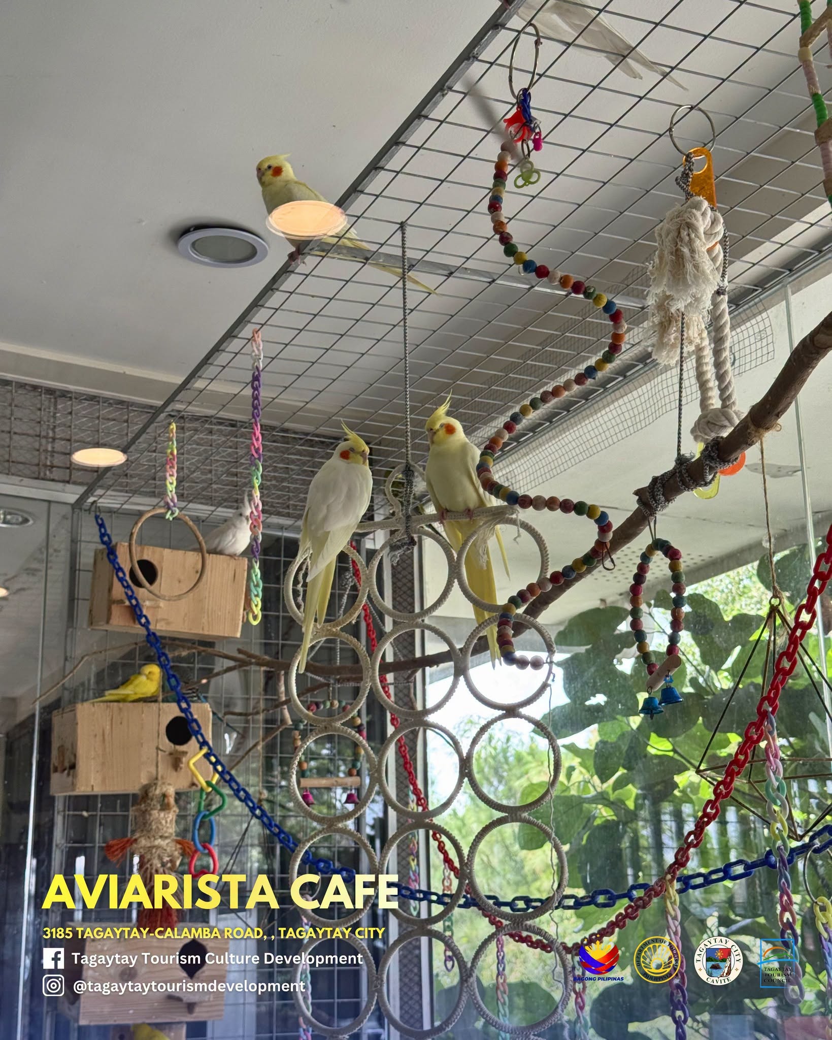 Guest holding a bird at Aviarista